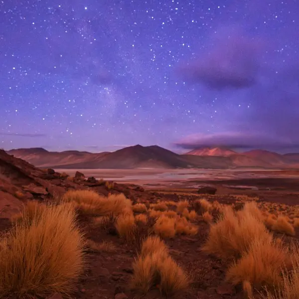 "מסע קסום למדבר אטקמה: גלו את פלאי הצפון של צ'ילה!"