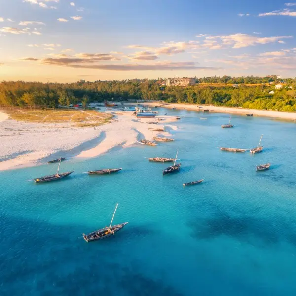 גלו את טוליארה – האוצר האקזוטי שממתין לכם במדגסקר!