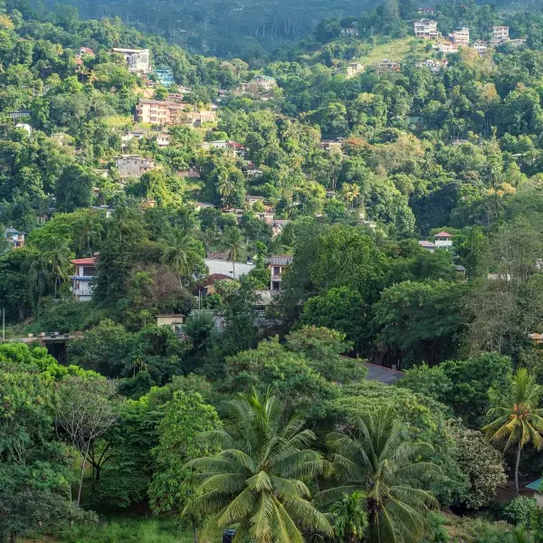 גלו את הקסם של סרי לנקה: הרפתקה בלתי נשכחת בקנדי!