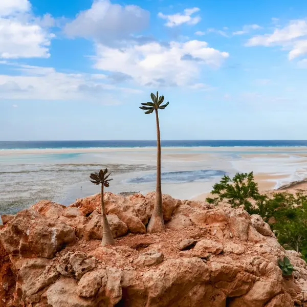 קורל קוסט – חופים זהובים וחוויות שלא שוכחים