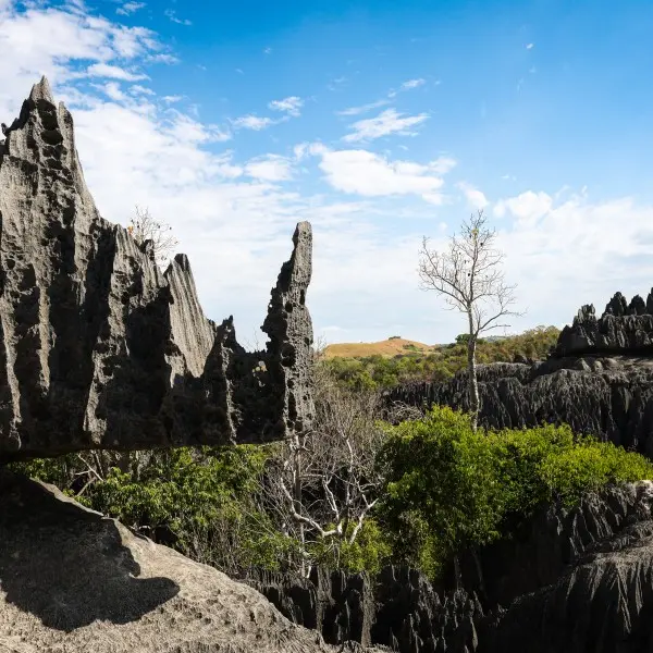 גלה את נומזי - הסוד הכמוס של מזרח אסיה מחכה לך!