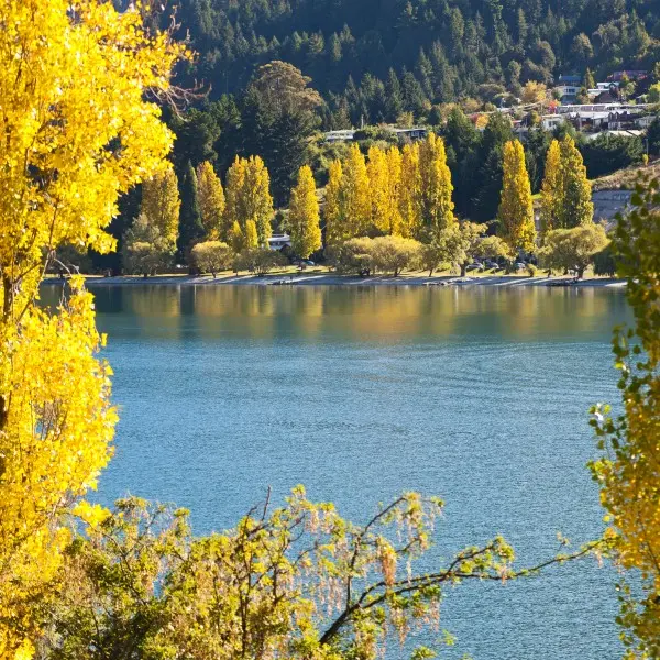 קווינסטאון: הרפתקאות בלתי נשכחות בניו זילנד מחכות לכם!