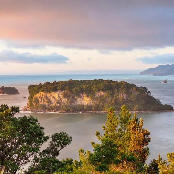 אוקלנד – הדופק התוסס של ניו זילנד!