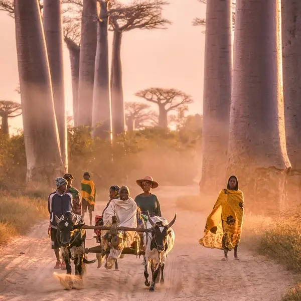 גלה את אנטננריבו – הפנינה המרתקת של מדגסקר מצפה לך!