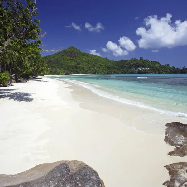 גן עדן טרופי זוהר בלב האוקיינוס - התגלמות החלום