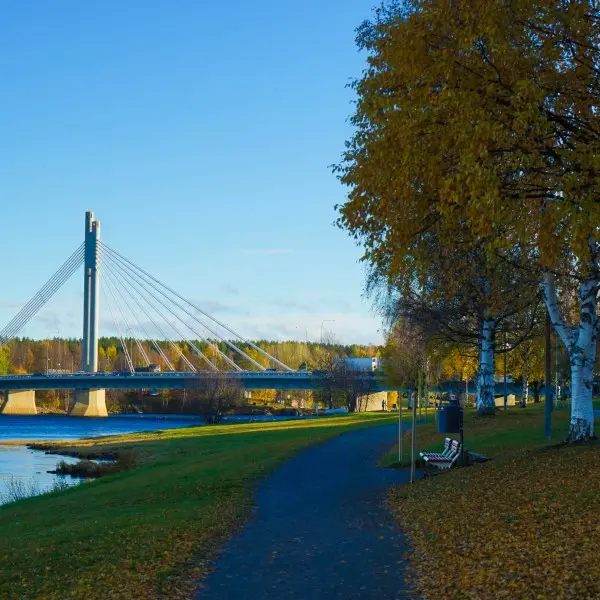 רובניימי – חוויית הקסם של לפנלד מחכה לכם!
