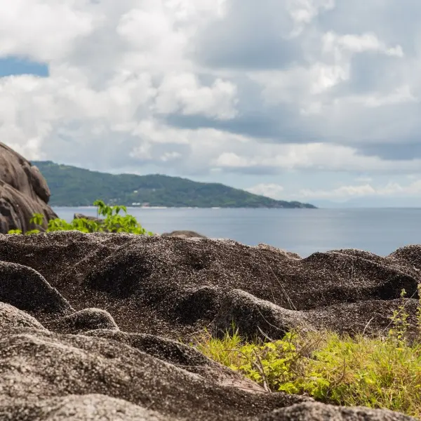 גלה את סוד גן העדן החבוי של סיישל באי סילואט!