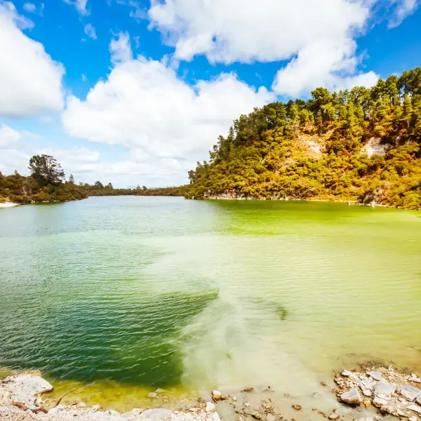 גלה את רוטורואה - הקסם הגיאותרמי של ניו זילנד!