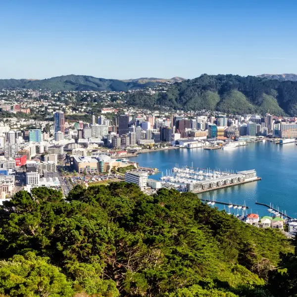 וולינגטון: היעד המושלם לחובבי תרבות וטבע בניו זילנד!