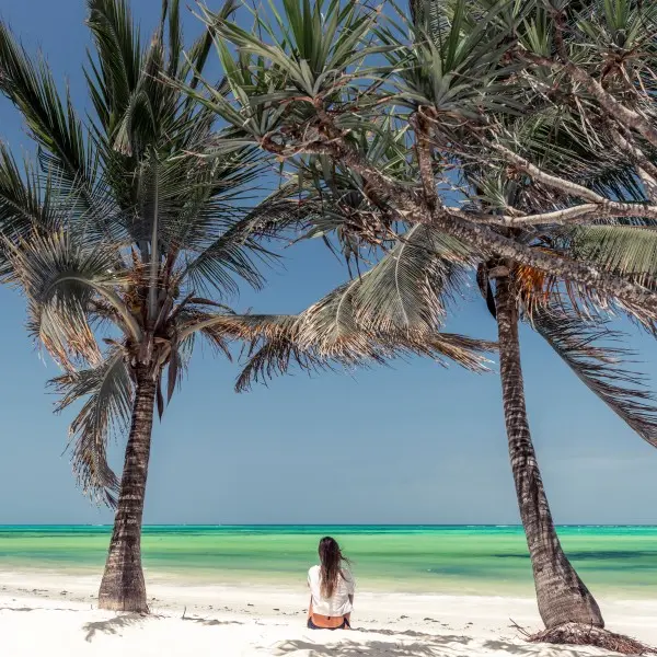 מומבסה: חופשה חלומית בחופים הטרופיים של האוקיינוס ההודי