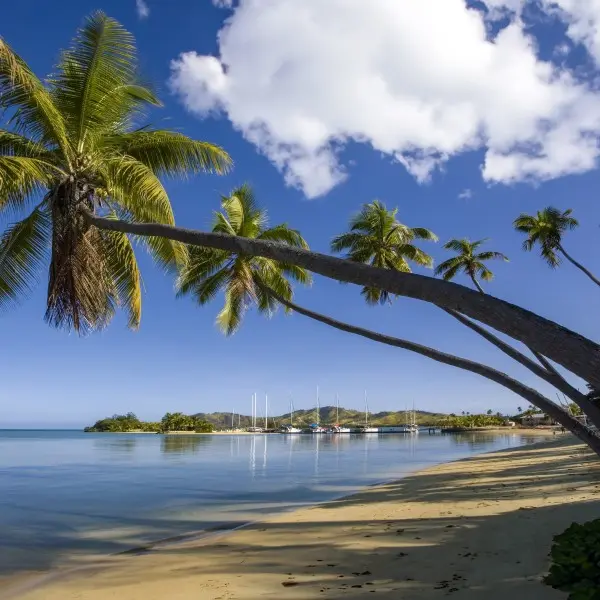 נארואה – התגלית הקסומה של המזרח הרחוק